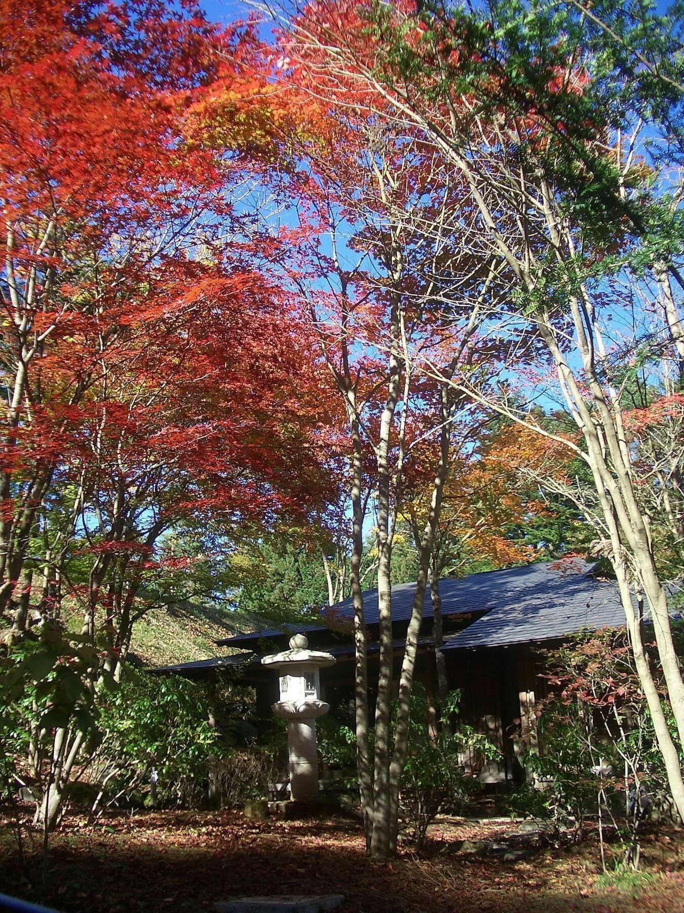 Hotel Shikitei Fujiyoshida Exterior foto